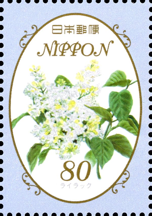 Syringa vulgaris