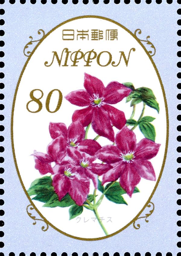 Clematis
