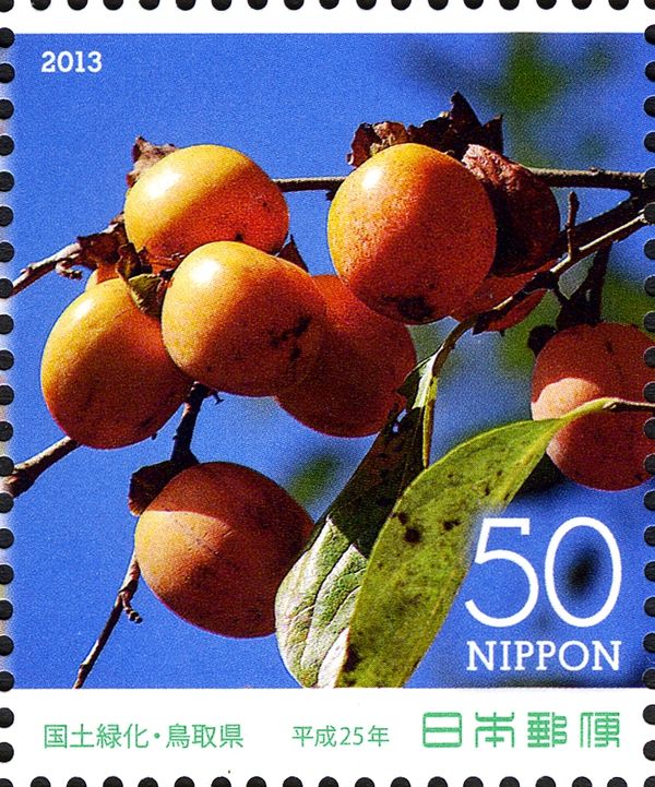 Oriental Persimmon (Diospyros kaki)