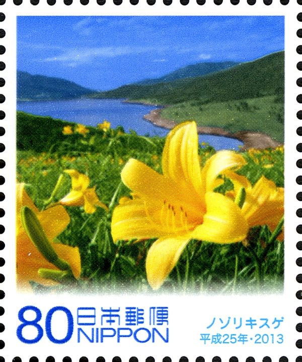 Nozorikisuge (Yellow Day Lilies)