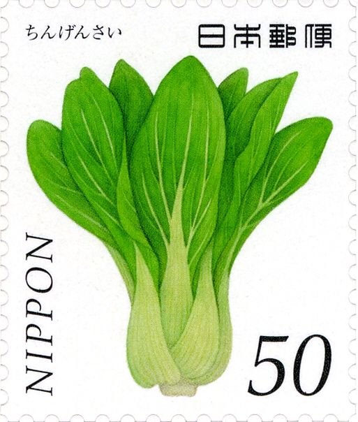 Bok Choy (Brassica rapa var. chinensis)