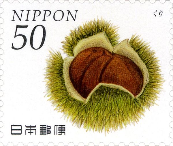Chestnut (Castanea crenata)