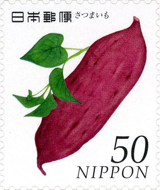 Sweet Potato (Ipomoea batatas)
