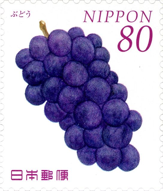 Grapes (Muscadinia rotundifolia)