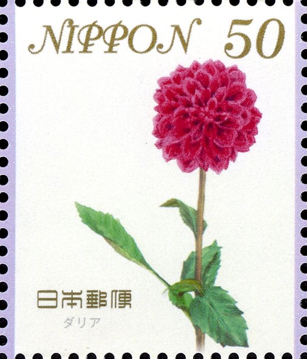 Dahlia