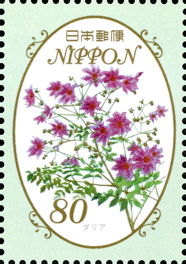 Dahlias