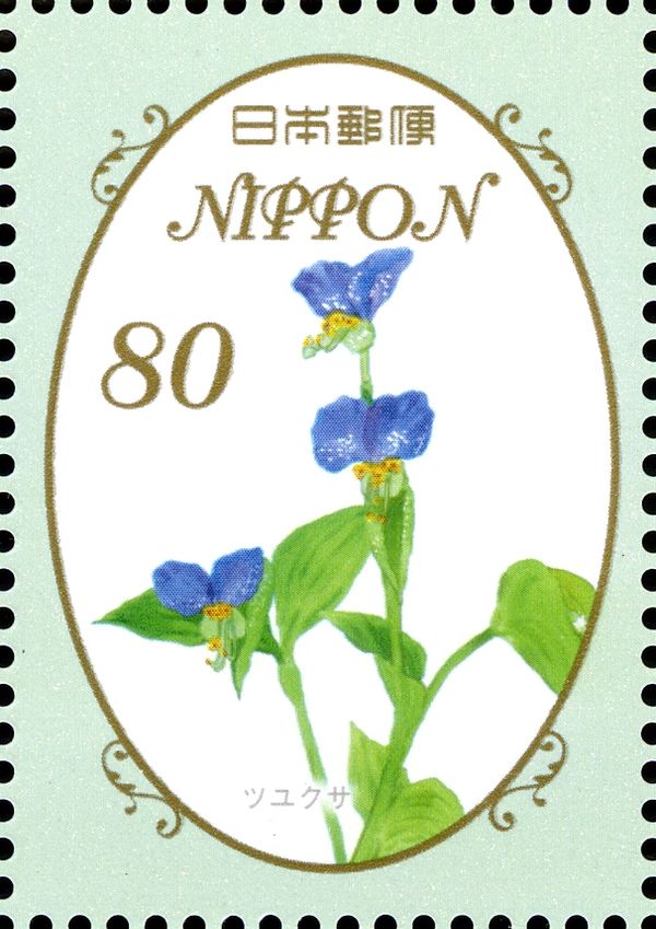 Asiatic Dayflowers (Commelina communis)