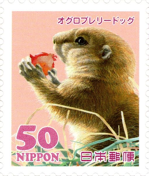 Black-tailed Prairie Dog (Cynomys ludovicianus)