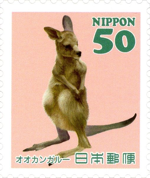 Eastern Grey Kangaroo (Macropus giganteus)