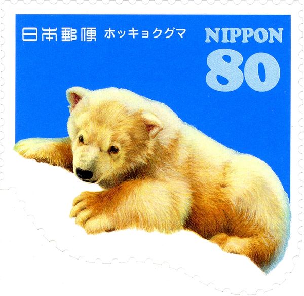 Polar Bear (Ursus maritimus)