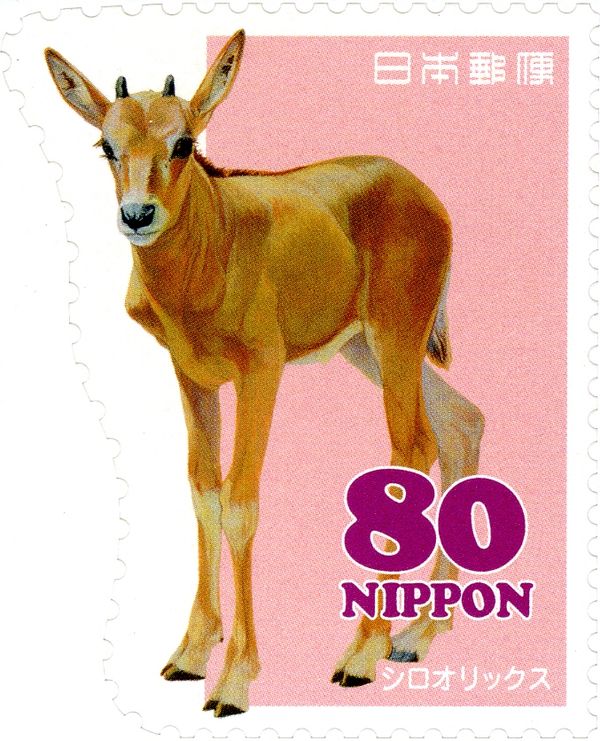 Scimitar Oryx (Oryx dammah)