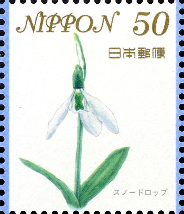 Snowdrop (Galanthus L.)