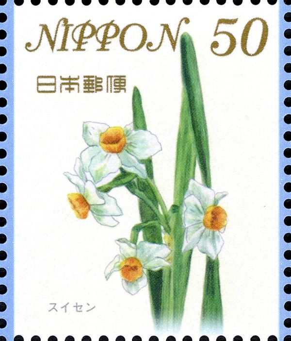 Narcissus