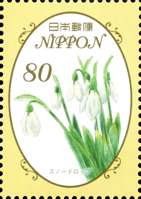 Snowdrops (Galanthus L.)