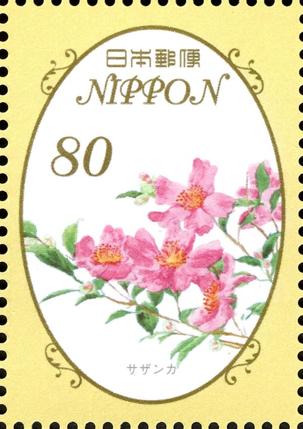 Camellia sasanqua
