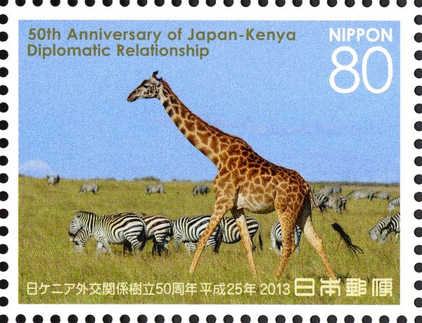 Giraffe (Giraffa camelopardalis)