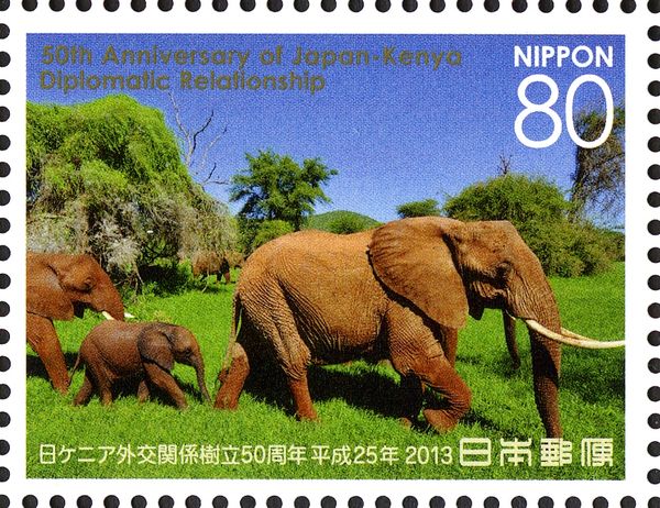 African Elephant (Loxodonta africana)