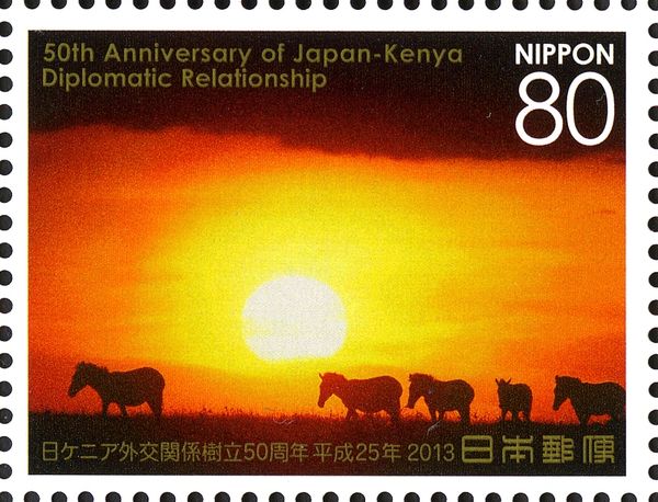 Plains Zebra (Equus quagga)