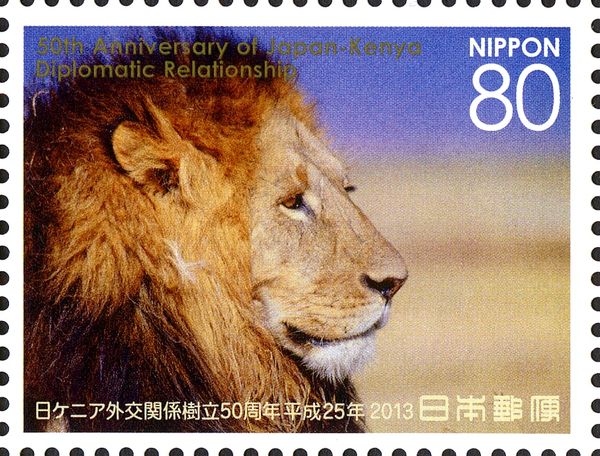 Lion (Panthera leo)
