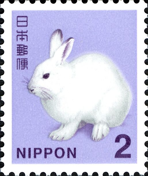 Mountain Hare (Lepus timidus)