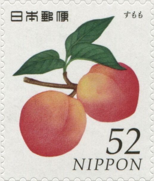 Japanese Plums (Prunus Salicina)