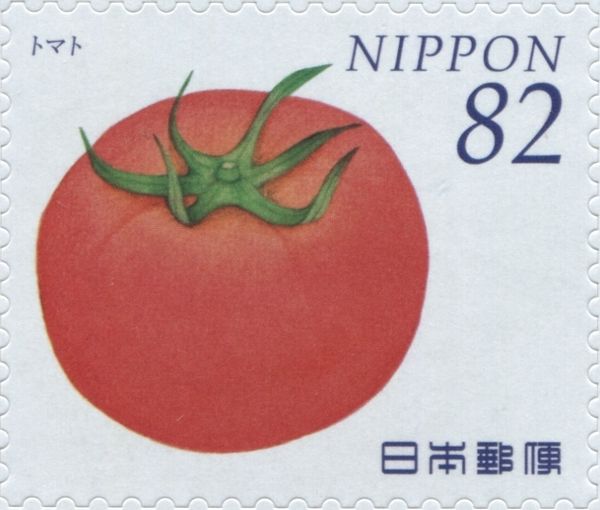 Tomato (Solanum Lycopersicum)
