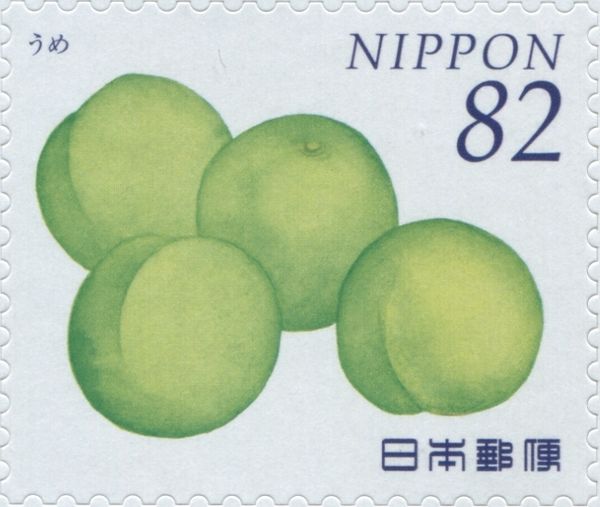 Japanese Apricots (Prunus Mume)
