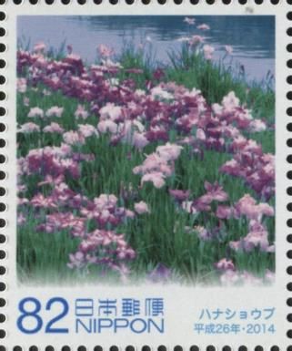 Iris Ensata