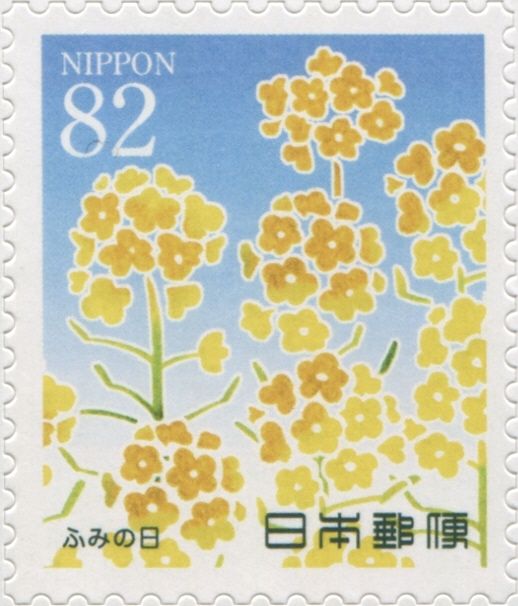 Rape Blossoms (Brassica napus)