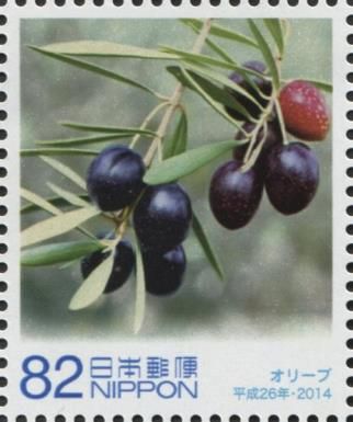 Olives