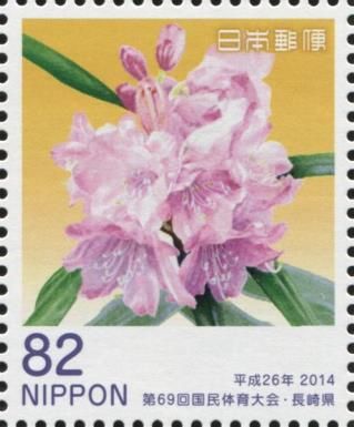Rhododendron Japonoheptamerum (Isahaya)