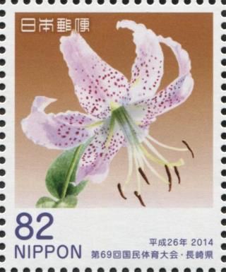 Pink Day Lily (Lilium Speciosum) (Sasebo)