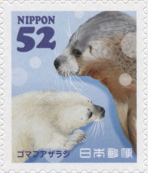 Spotted Seal (Phoca vitulina largha)