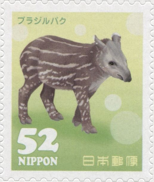 Lowland Tapir (Tapirus terrestris)