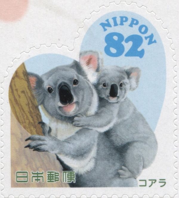 Koala (Phascolarctos cinereus)