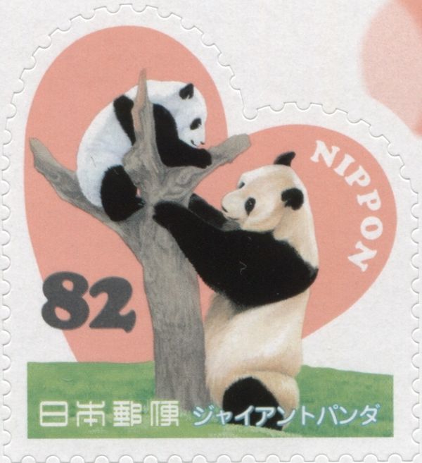 Giant Panda (Ailuropoda melanoleuca)