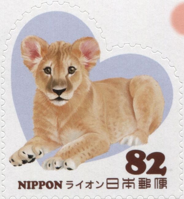 Lion (Panthera leo)