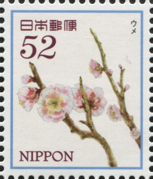 Plum Blossoms