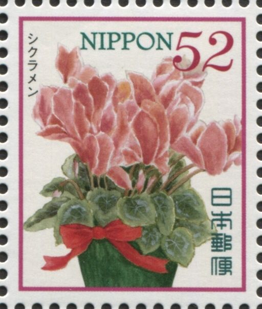 Persian Cyclamen (Cyclamen persicum)