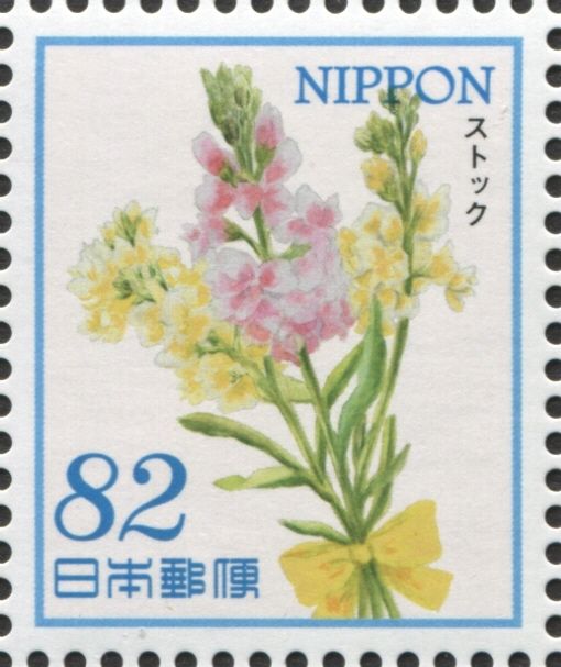Common Stock (Matthiola incana)