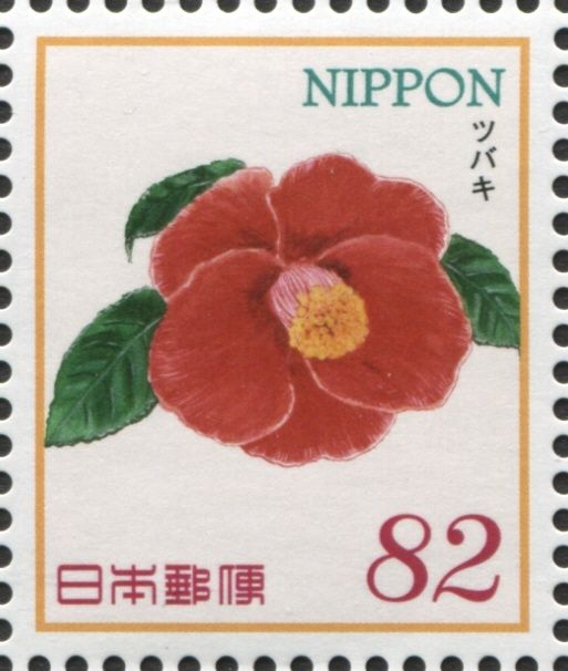 Common Camellia (Camelia japonica)