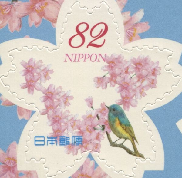 Greeting of cherry blossoms and Red-flanked Bluetail