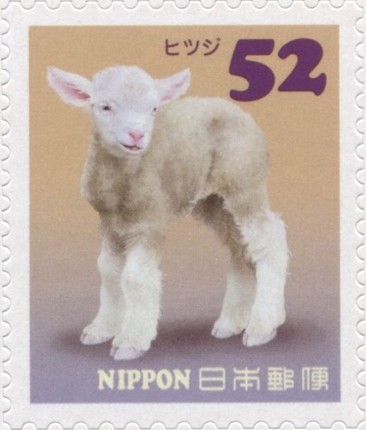 Domestic Sheep (Ovis ammon aries)