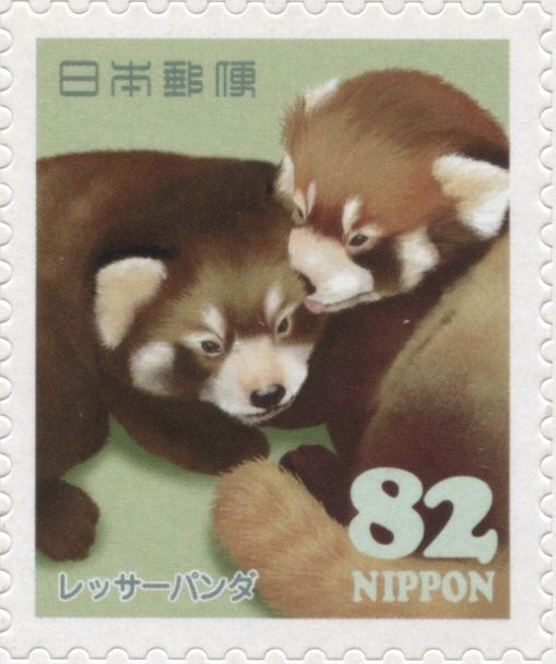 Red Panda (Ailurus fulgens)