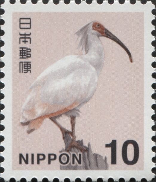 Japanese Crested Ibis (Nipponia Nippon)