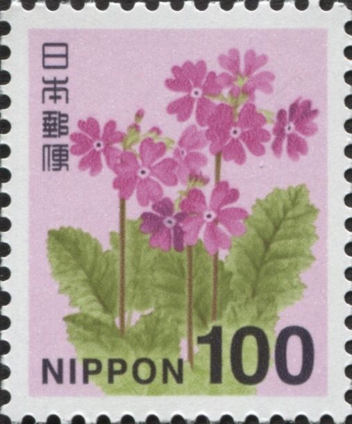 Japanese Primrose