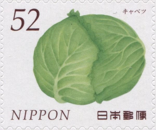 Cabbage