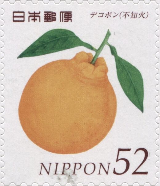 Satsuma Orange (Dekopon)