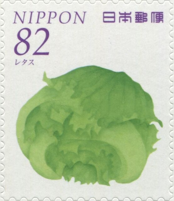 Lettuce