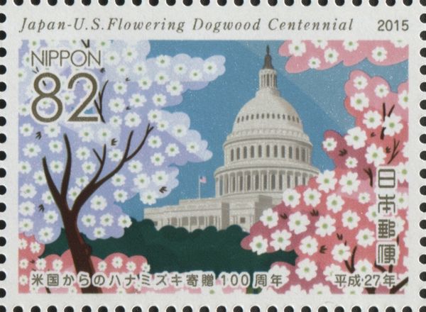 Flowering Dogwoods and the United States Capitol